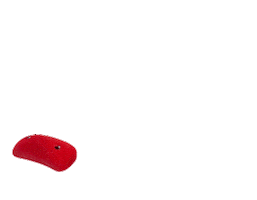 BOULD equipment Sticker