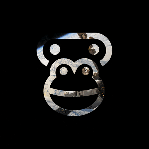 Affenkunst GIF