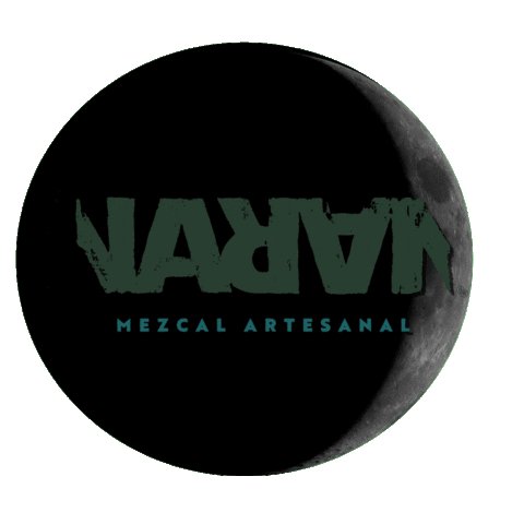 Lunar Eclipse Moon Sticker by Agave Abel