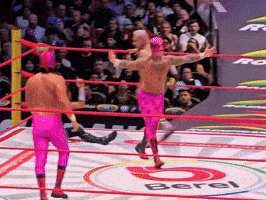 Lucha Libre Wrestling GIF