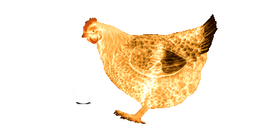 Sticker by Illumi Cavalia