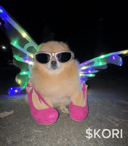 Party Dog GIF