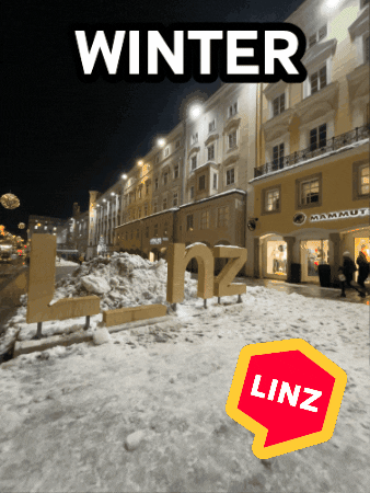 Logo Lol GIF by Linz News