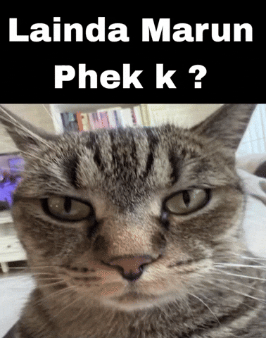 Laindamarunphekk GIF