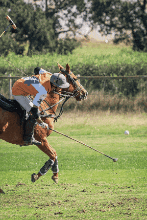 QUINTANA PHOTO GIF