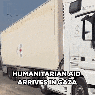 Humanitarians meme gif