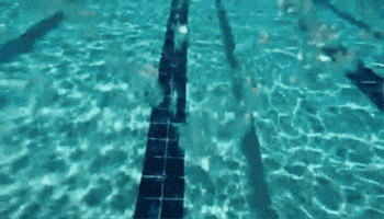 GIF by Marie Starek Joaillerie