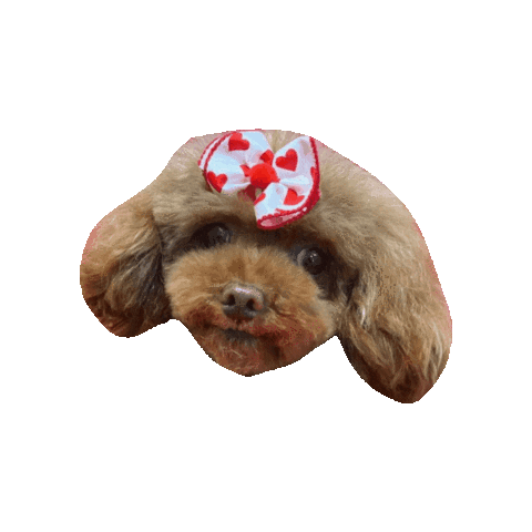ham + bone Sticker