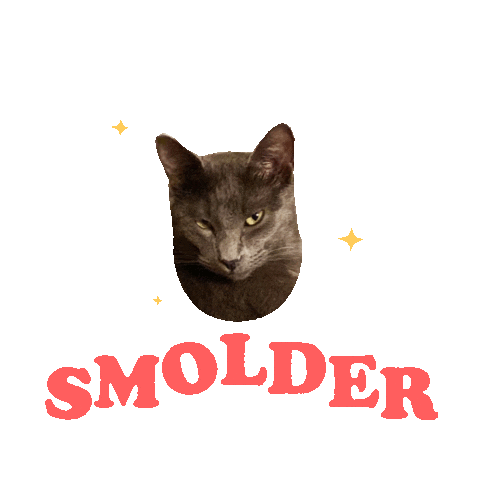 Cat Sticker