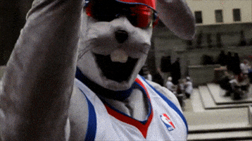 Hip Hop Bunny GIF