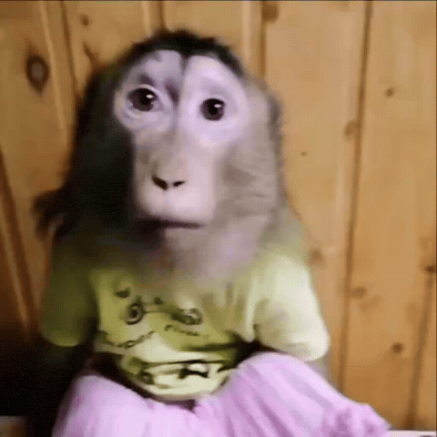 Analgin GIF