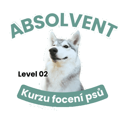 Student Siberianhusky Sticker by mrackova.foto