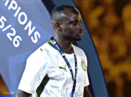 Mane Spl GIF