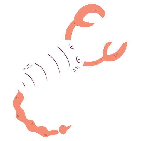 Hocus Pocus Signos Sticker by Pitahia