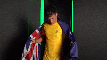 Serious Fifa World Cup GIF by Football Australia