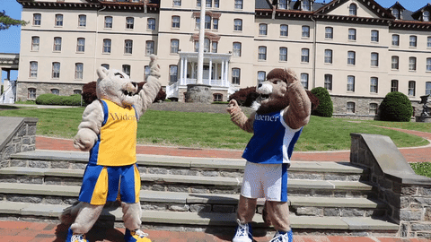 Mascots Dancing GIF by Widener University - Find & Share on GIPHY