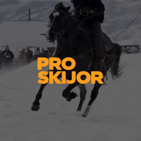 Horse Cowboy GIF by PROSKIJOR