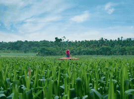 Shri Ram Kannada GIF