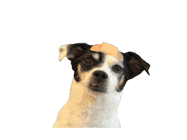 Dog Puppy Sticker