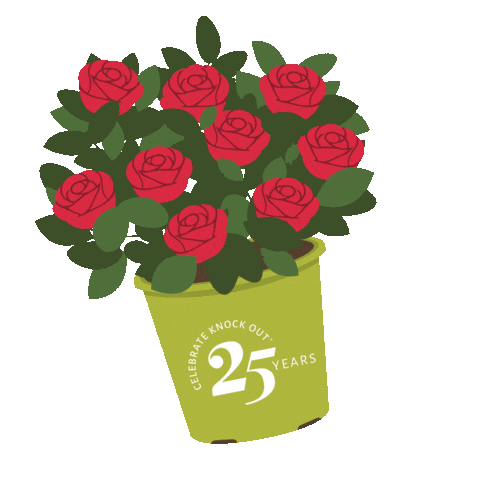 Knockout Rose Sticker by Star Roses and Plants