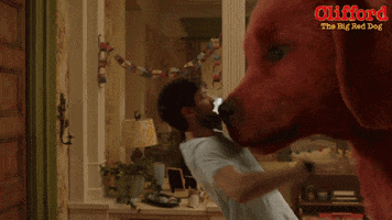 GIF by Clifford Movie