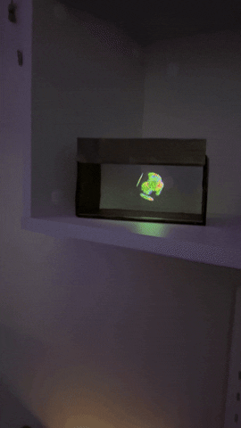 Animated GIF