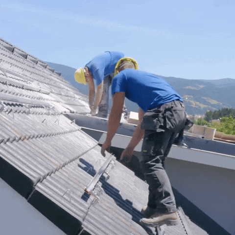 Burnaby GIF by Oi