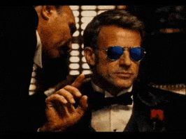 French Macron GIF