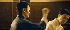 Ip Man GIF
