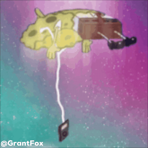 Spongebob Squarepants Wtf GIF