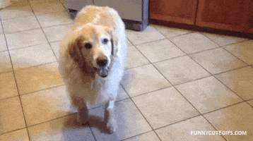 200.gif
