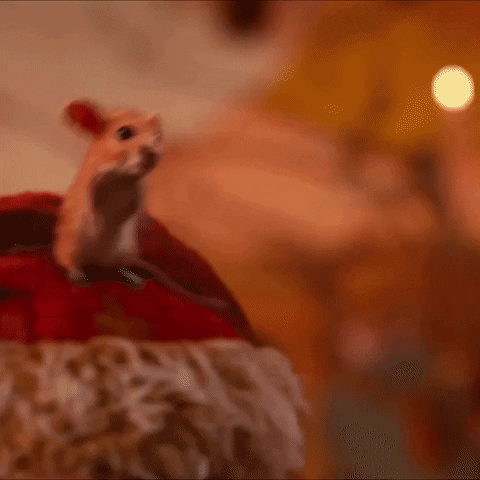 Christmas Mouse GIF by Studiocanal Germany