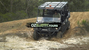 OzBuggy_Tours GIF