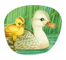 Baby Animals Duck Sticker by Chrissy Metz