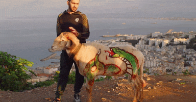 Iconoclast GIF