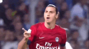 Paris Saint-Germain Ibrahimovic Psg GIF