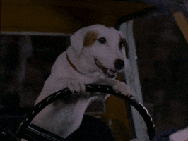 Driving Ernest Scared Stupid GIF