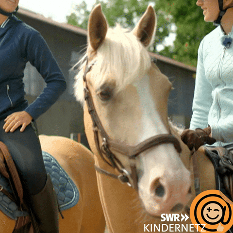 Happy Horse GIF by SWR Kindernetz