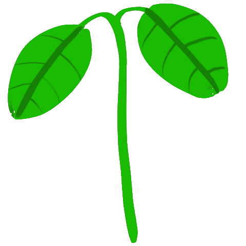 Plants Plantlife Sticker by yourShrimp