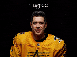 Pittsburgh Penguins Agree GIF