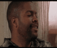 ice cube what GIF