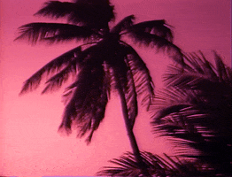 Palm Tree Summer GIF