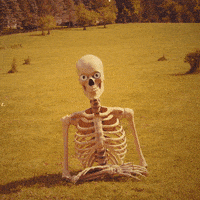 Digital illustration gif. We slow pan towards the top half of what looks like a science class skeleton sitting awkwardly upright in a grassy field, eyeballs filled in with white irises and black pupils looking straight at us, a broad grin and full set of teeth stretching across its face. Text appears with the question, "Well? Where you at?'