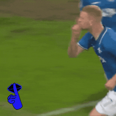 Sv Darmstadt 98 Bundesliga GIF