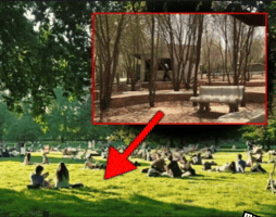 Canteen GIF
