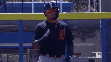 Major League Baseball Sport GIF by Detroit Tigers