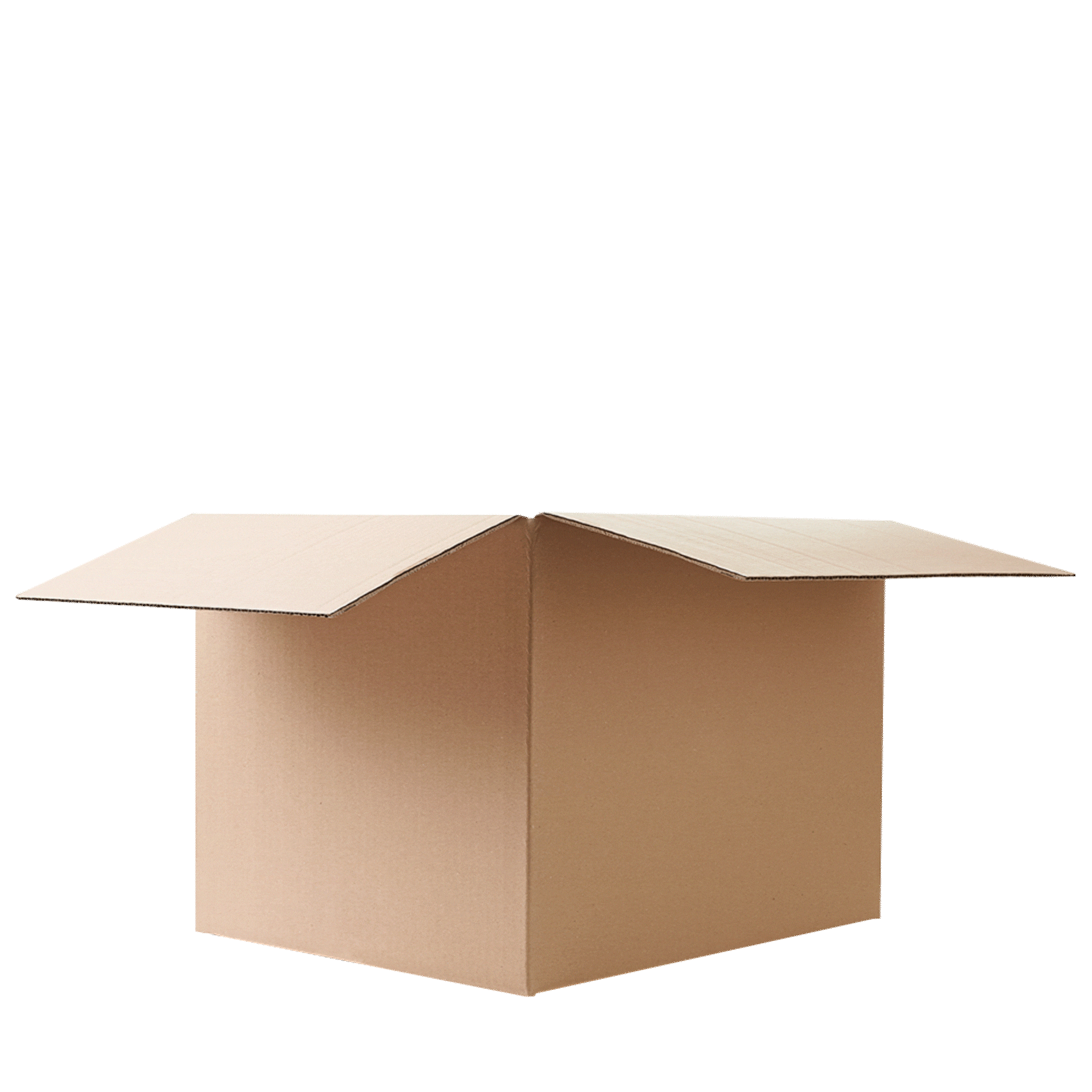 Compras Eyewear Sticker by Signus