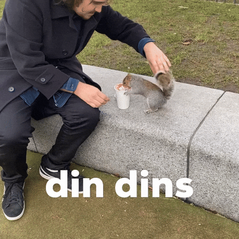 Din Dins GIF
