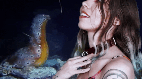 Mija GIFs on GIPHY - Be Animated