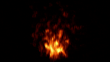 Jakob GIF